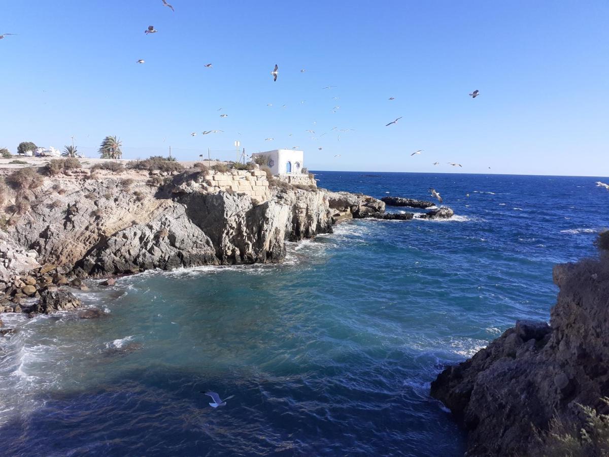 Apartamento Santa Pola, En Playa Del Tamarit Con Piscina. Экстерьер фото