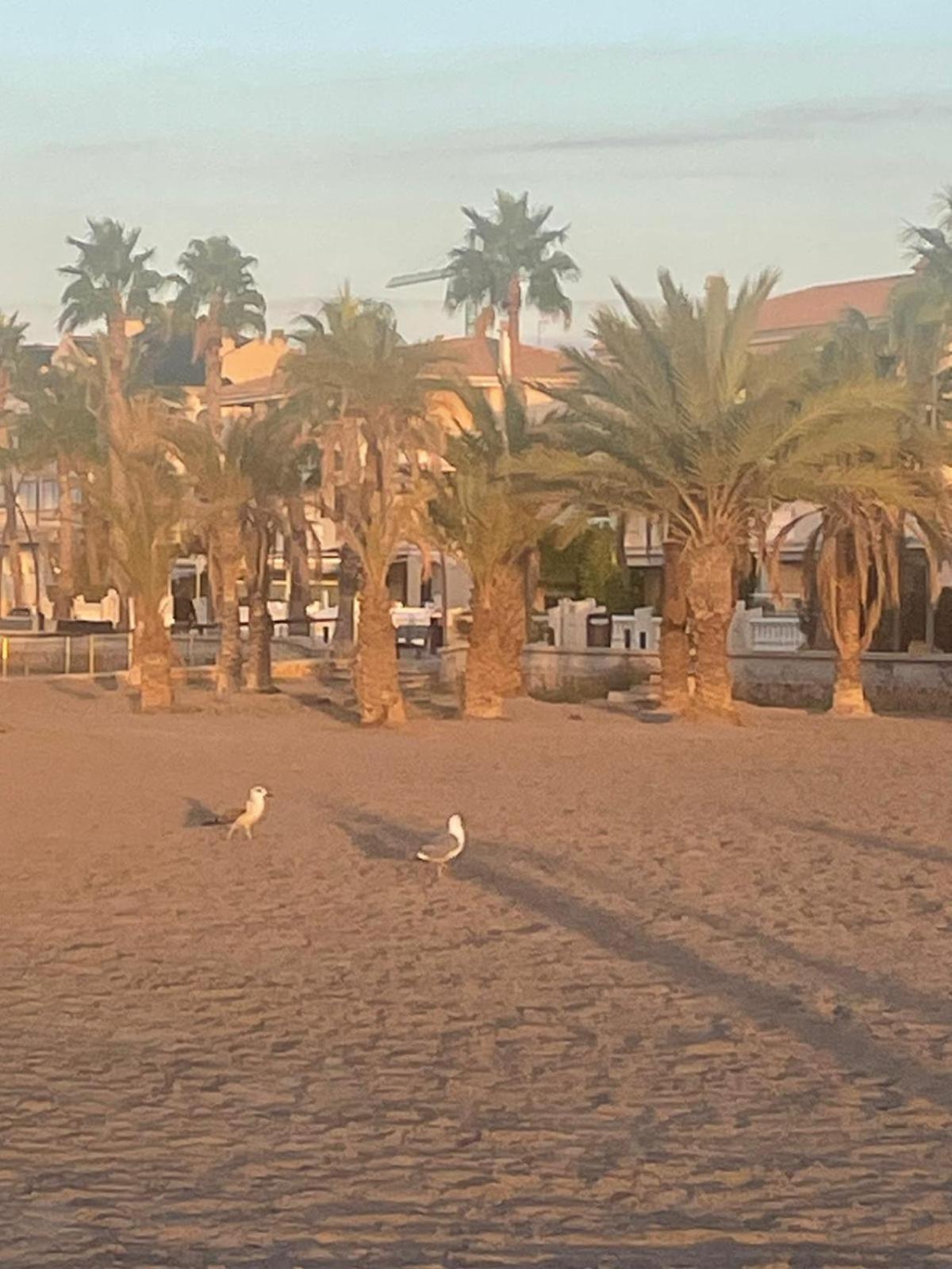 Apartamento Santa Pola, En Playa Del Tamarit Con Piscina. Экстерьер фото